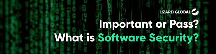 What is Software Security? Important or Pass?