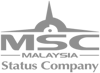 image displaying lizard being recognised by msc malaysia