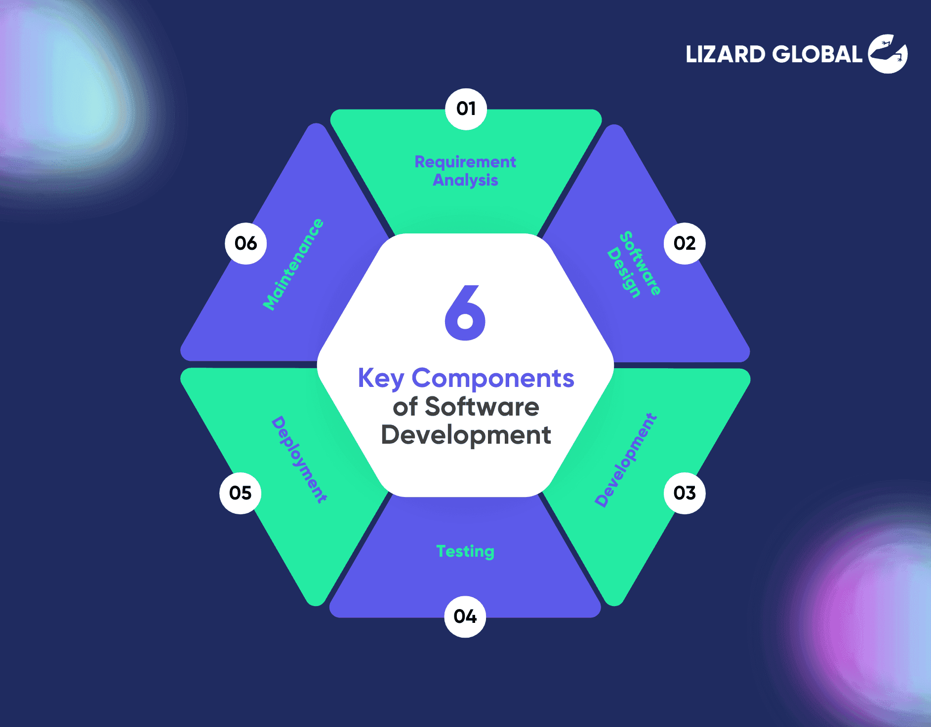 Key Components of Software Development Lizard Global