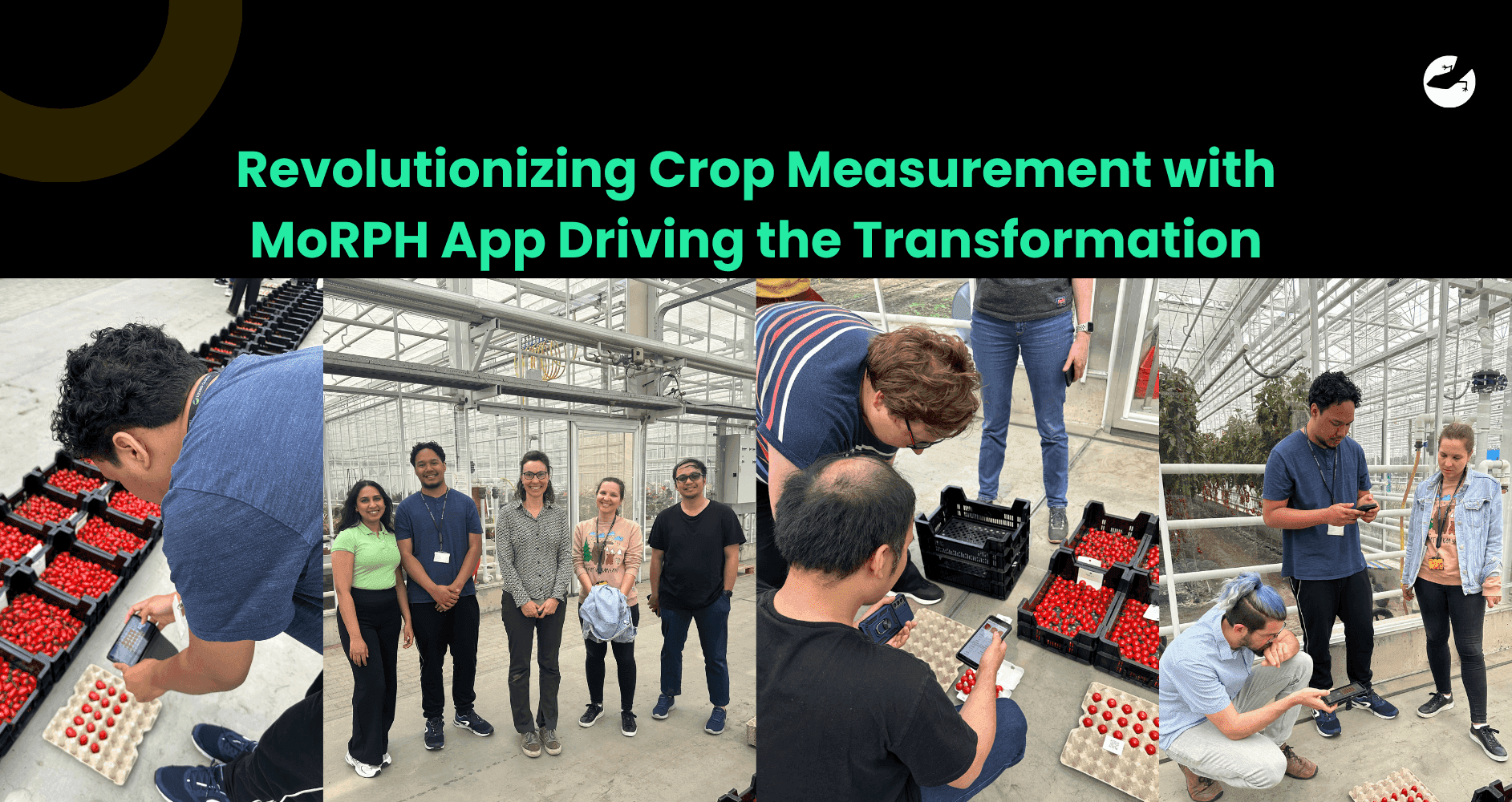 Revolutionizing Crop Measurement with MoRPH App Driving the Transformation