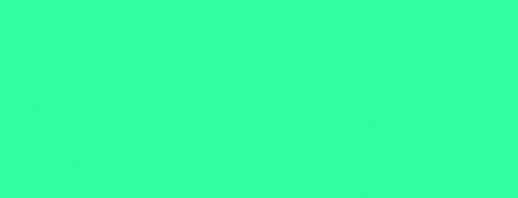 lizard global custom software development company logo banner.gif