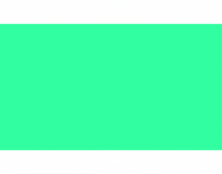 lizard global saas software as a service custom software development