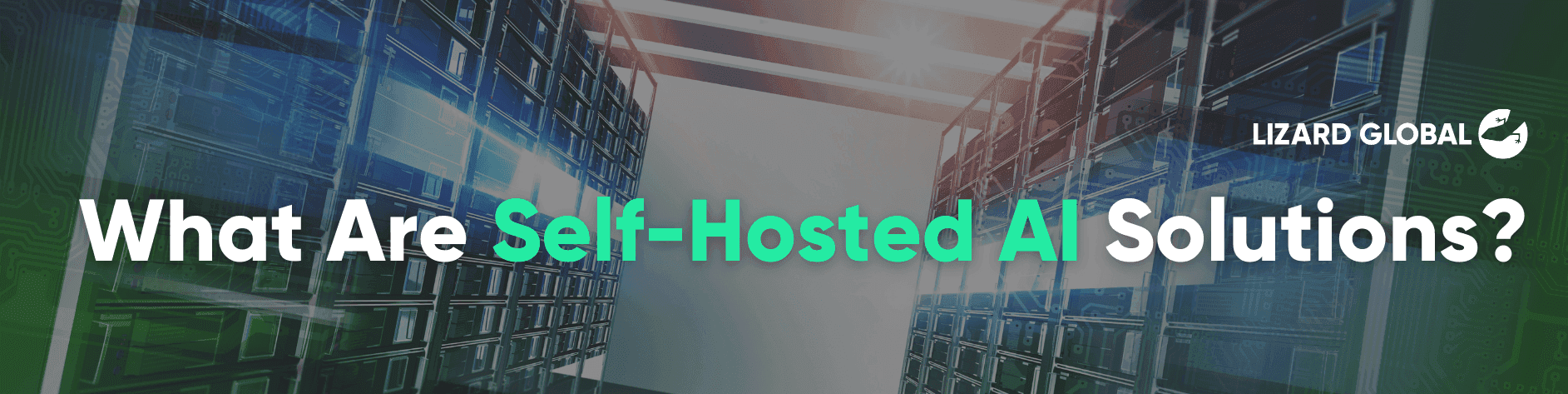 What Are Self Hosted AI Solutions
