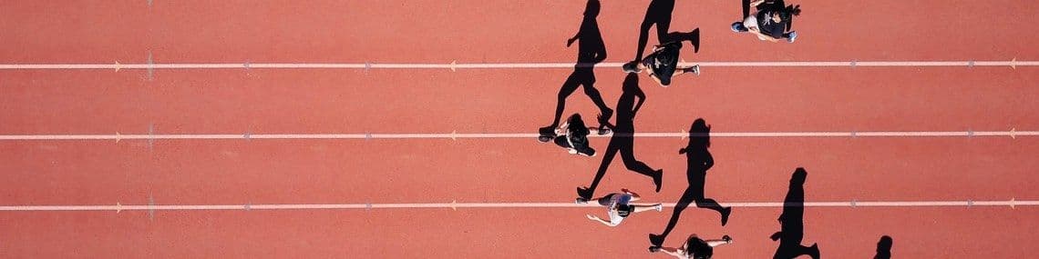The Scrum Sprint Up Close: What, Who, How?