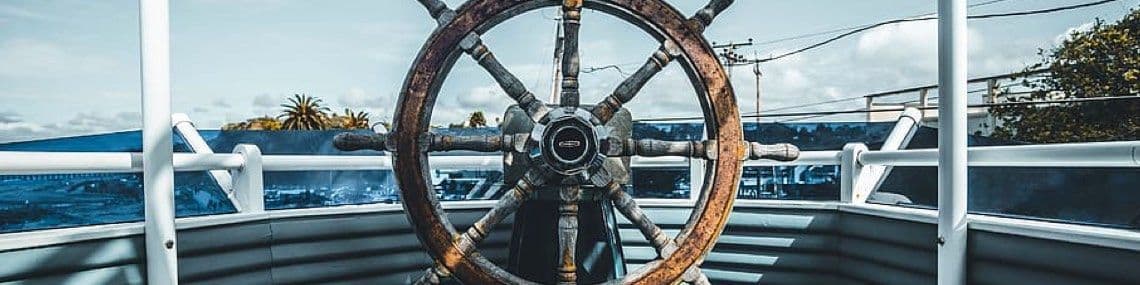 Meet the Lizards: Product Owners