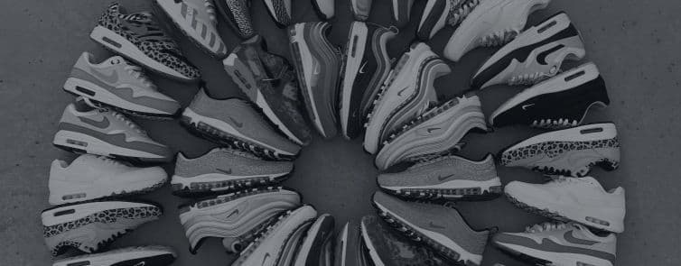 header-skyecho