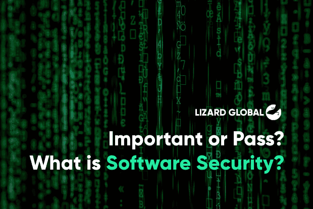 What is Software Security? Important or Pass?