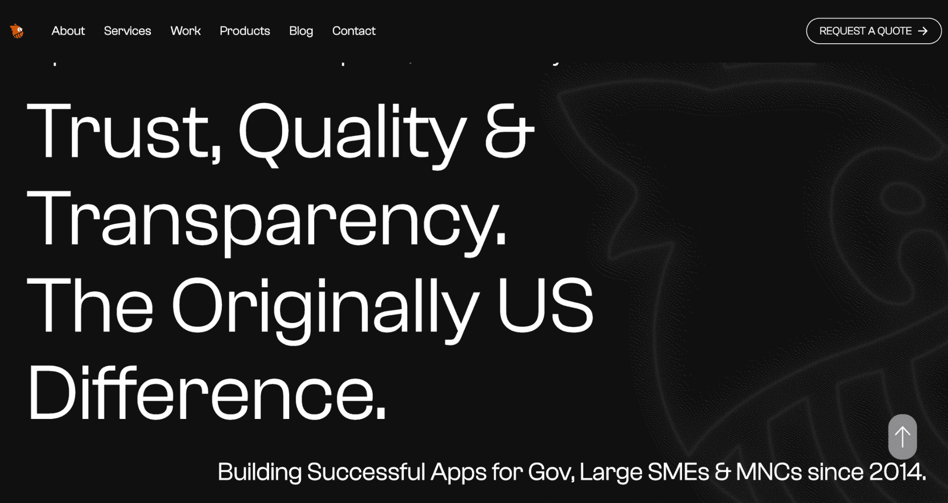 Lizard Global Top App Development Companies in Singapore in 2025