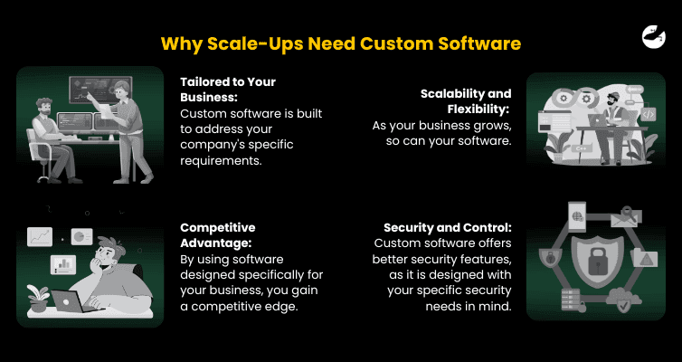 Why Scale-Ups Need Custom Software