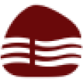 A list of clients that has worked with lizard global